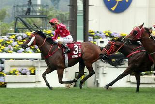 Mr Stunning heading an all NZB graduate first four in the G1 HKJC Sprint. Photo Credit: HKJC